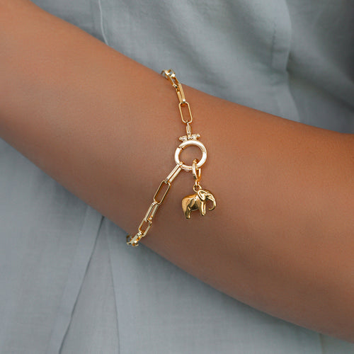 Good Luck Elephant Charm