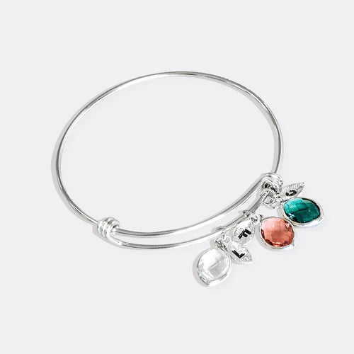 Birthstone Family Charm Bracelet