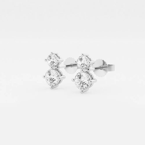 Round Lab Grown Diamond Two Stone Earrings