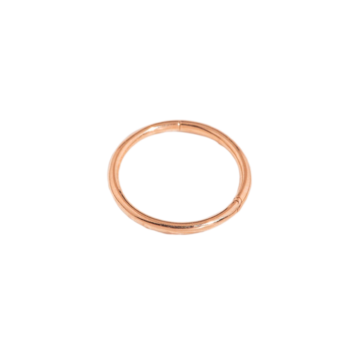 Classic Cartilage Hoop Earrings | 16g