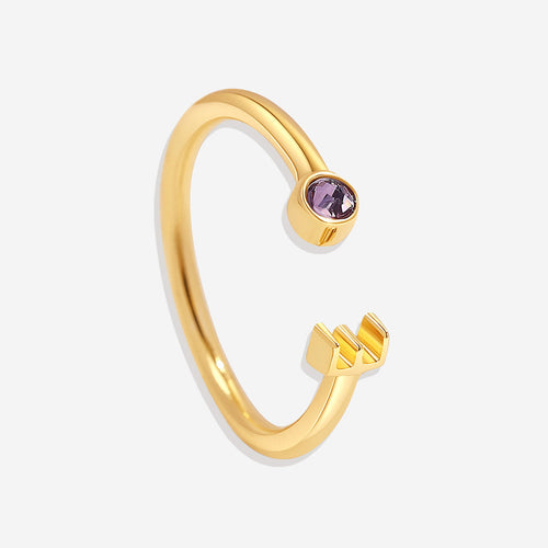 Dainty Birthstone Initial Ring