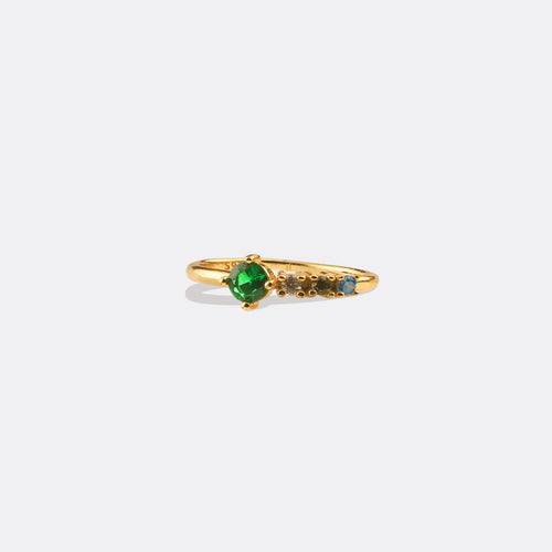 Family Birthstones Ring