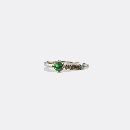 Family Birthstones Ring