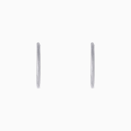 Small Hoop Earrings