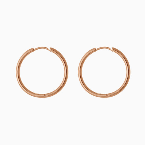 Small Hoop Earrings