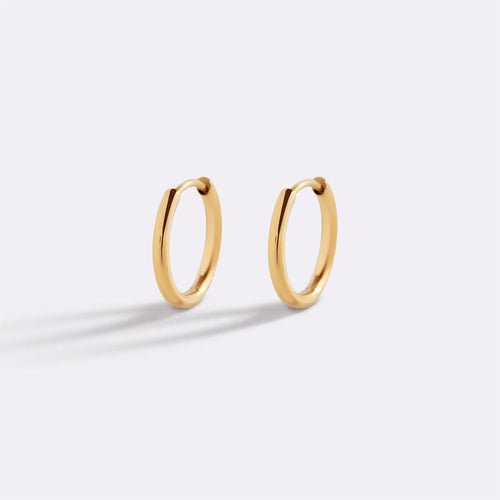 Small Hoop Earrings