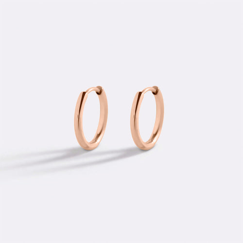 Small Hoop Earrings