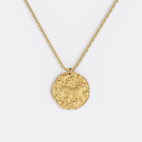 Hammered Zodiac Pendant Necklace