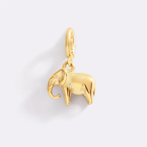 Good Luck Elephant Charm