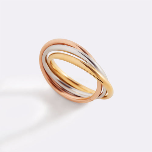 Dainty Interlocking Fidget Ring