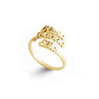 Triple Name Ring