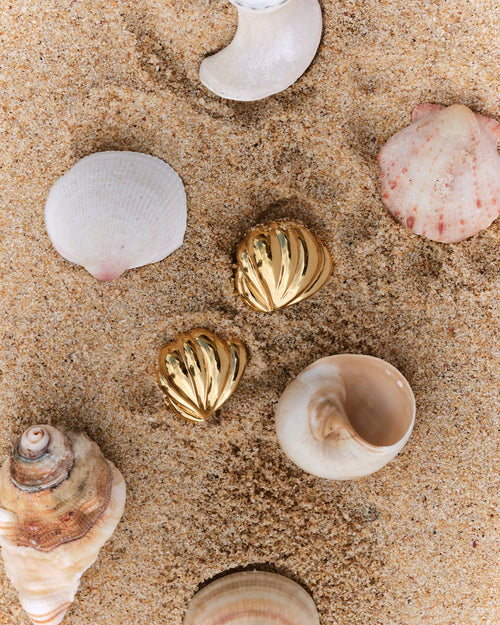 Gold Plated Ocean Dreaming Earrings