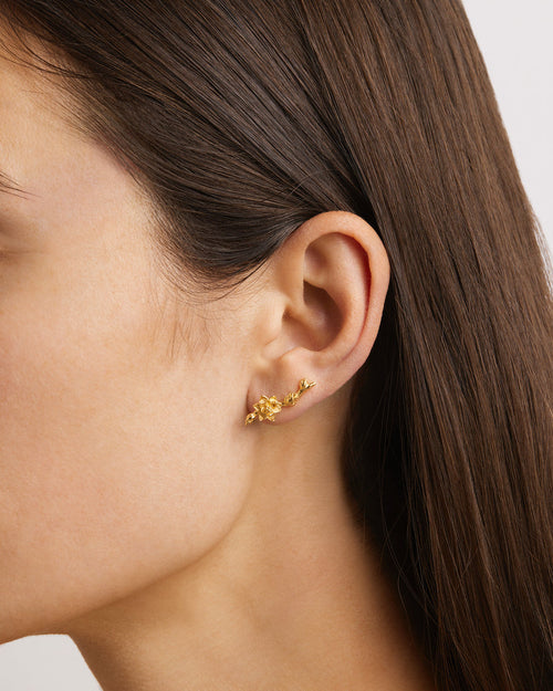 Yellow Gold Vermeil Bloom Within Lotus Ear Crawlers