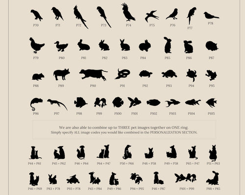 The Dainty Charm Ring