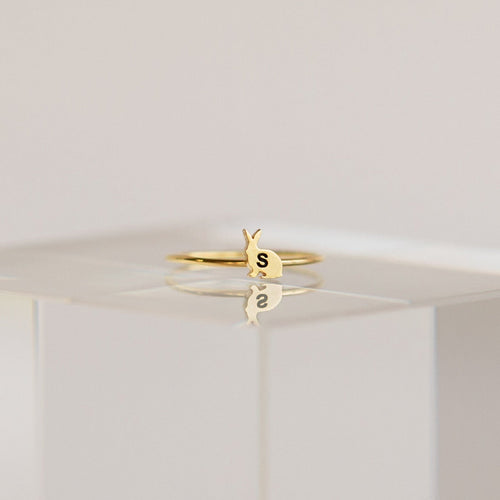 The Dainty Charm Ring