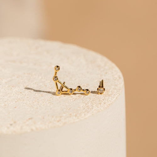 Constellation Zodiac Earrings