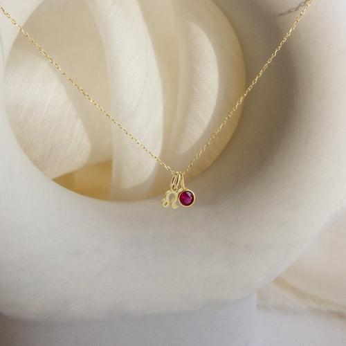 Zodiac Birthstone Necklace