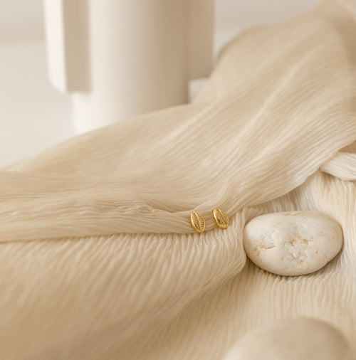 Cowry Shell Stud Earrings