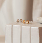 Cowry Shell Stud Earrings