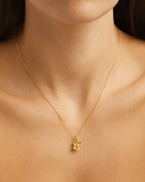 Yellow Gold Vermeil Violet February Birth Flower Necklace
