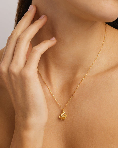 Yellow Gold Vermeil Rose June Birth Flower Necklace