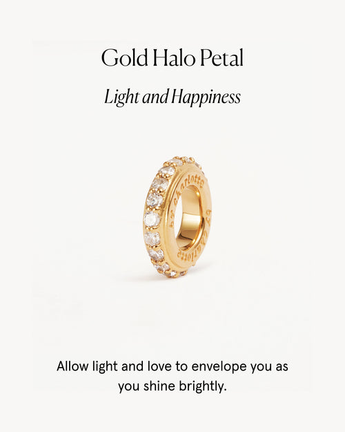 Yellow Gold Vermeil Halo Petal Charm