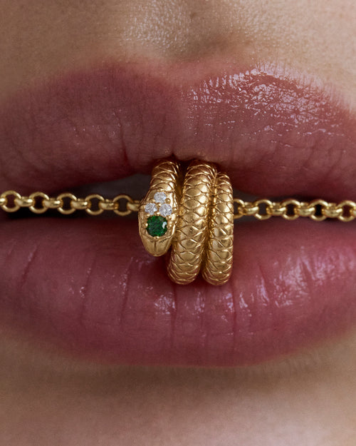 Yellow Gold Vermeil Snake Petal Charm