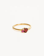 Yellow Gold Vermeil Kindred Birthstone Ring - January