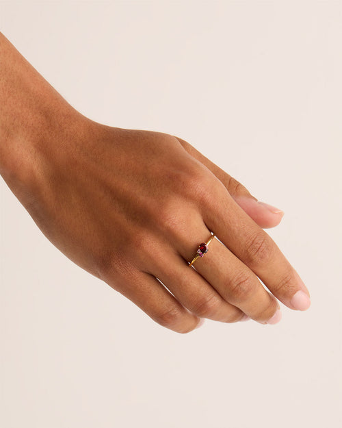 Yellow Gold Vermeil Kindred Birthstone Ring - January