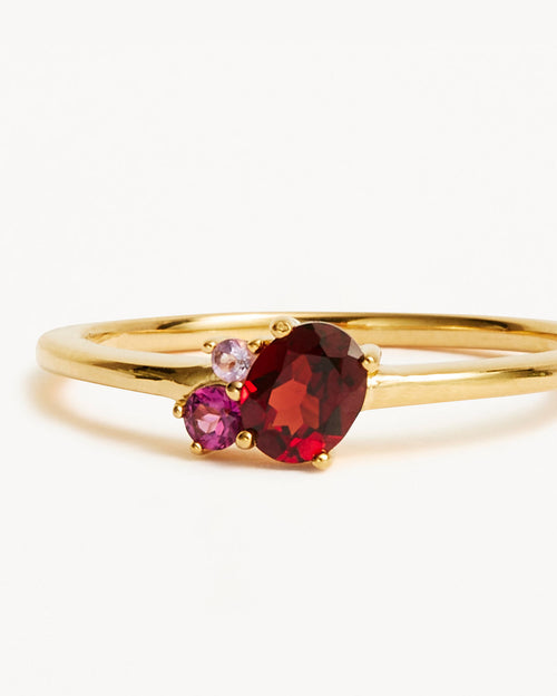 Yellow Gold Vermeil Kindred Birthstone Ring - January