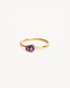Yellow Gold Vermeil Kindred Birthstone Ring - February