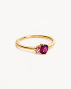 Yellow Gold Vermeil Kindred Birthstone Ring - July