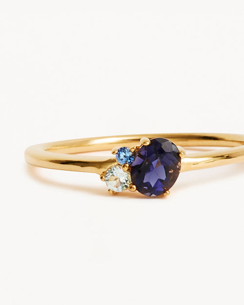 Yellow Gold Vermeil Kindred Birthstone Ring - September