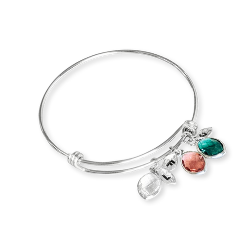 Birthstone Family Charm Bracelet