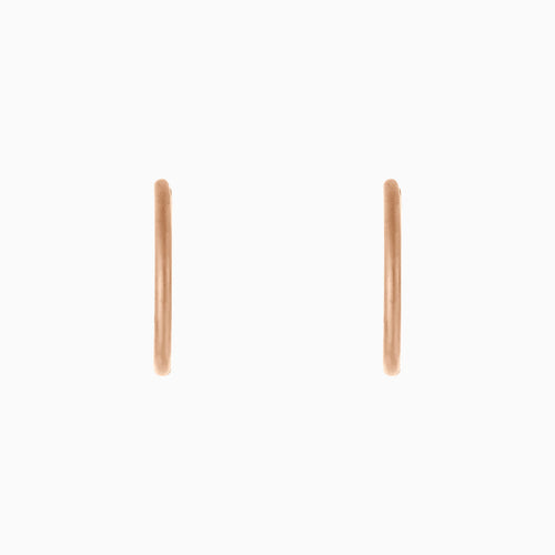 Small Hoop Earrings