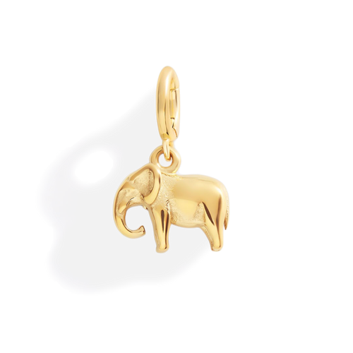 Good Luck Elephant Charm