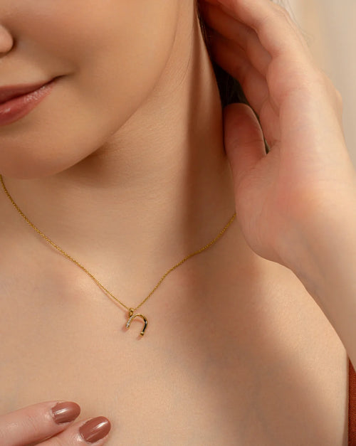 N Dip Necklace