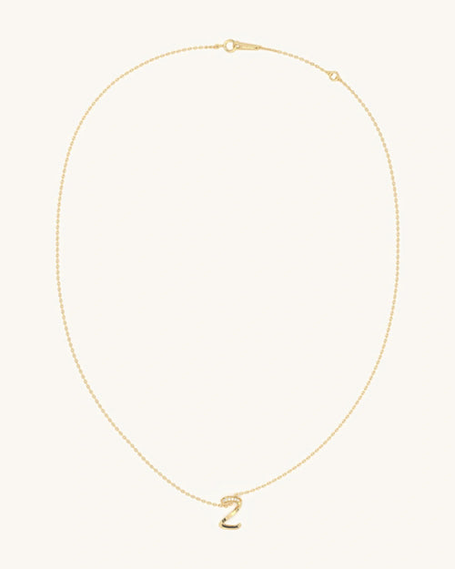 Z Zig Necklace