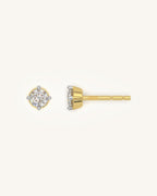 Fine Prong Earrings