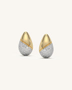 Elegant Curve Earrings