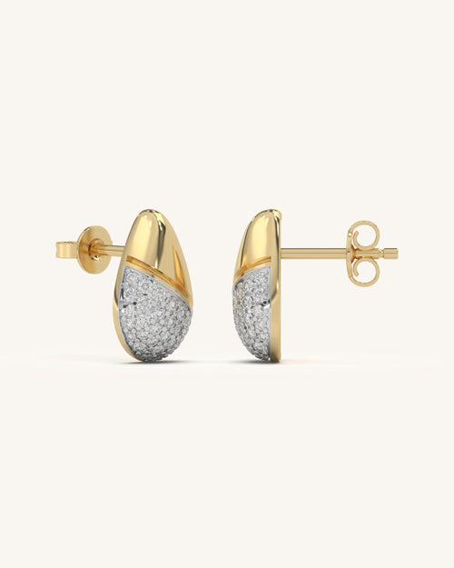 Elegant Curve Earrings
