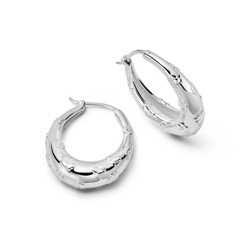 Recycled Silver Lucky Horseshoe Hoop Earrings