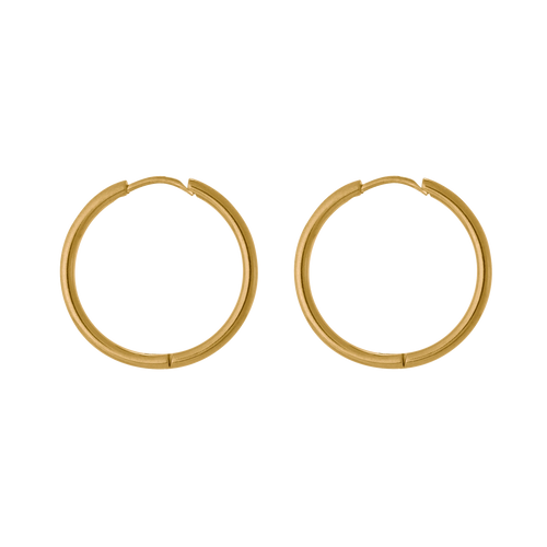 Small Hoop Earrings