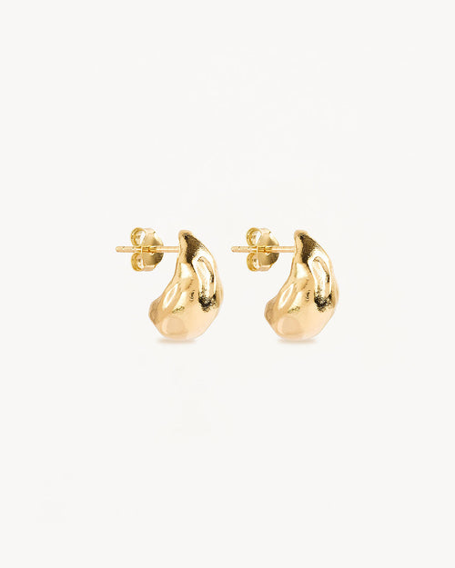 Yellow Gold Vermeil Wild Heart Small Earrings