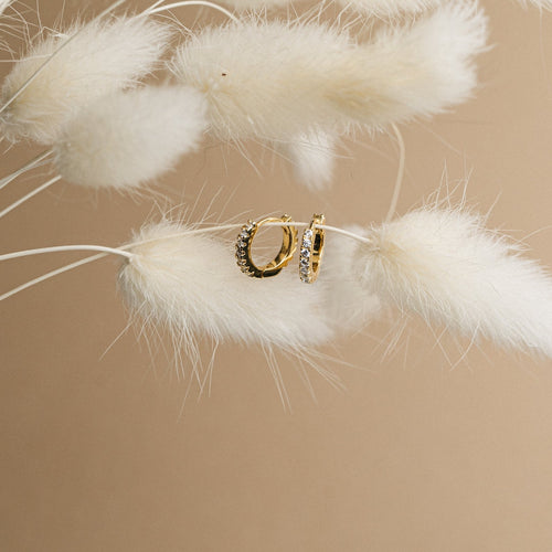 Coco Pave Huggie Hoops