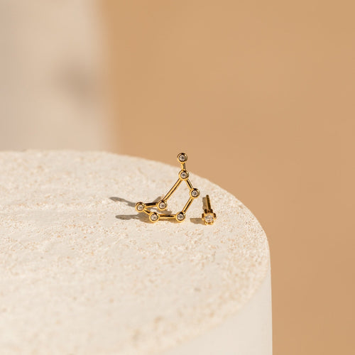 Constellation Zodiac Earrings