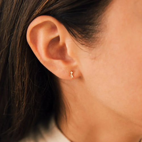 Blair Diamond Drop Stud Earrings