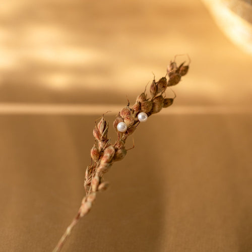 Delicate Pearl Stud Earrings