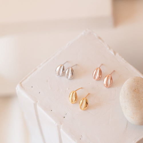 Cowry Shell Stud Earrings