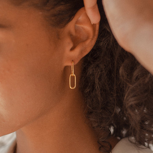 Amanda Double Link Earrings